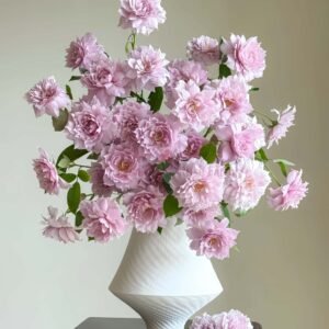 Huanzi Rose丨Wholesale Rose Farms