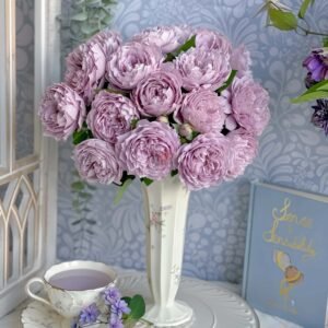 KongMeng Rose丨Wholesale Rose Farms