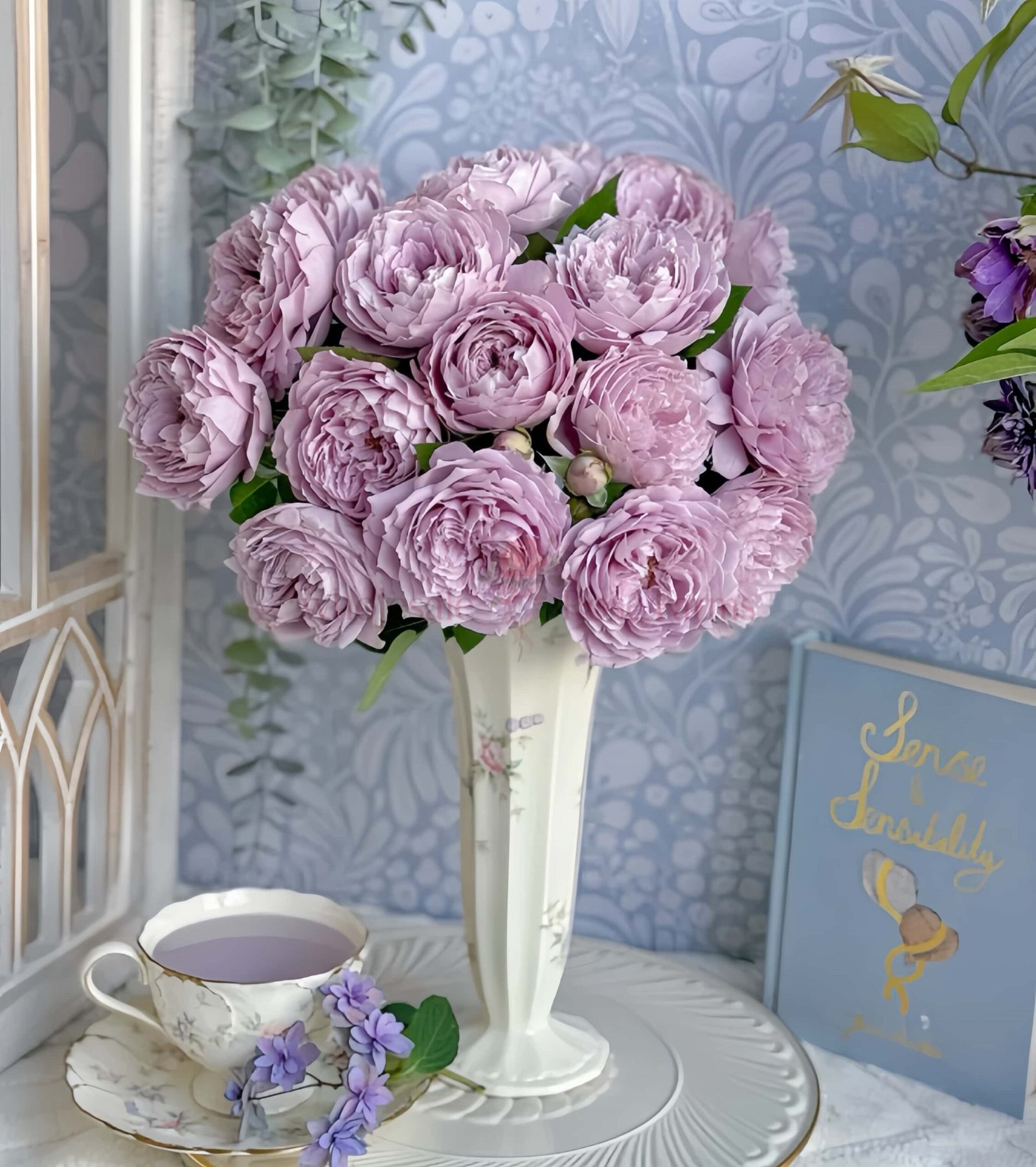 KongMeng Rose丨Wholesale Rose Farms