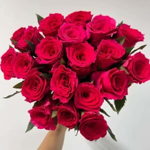 Gotcha Rose plant丨Wholesale Rose Farms