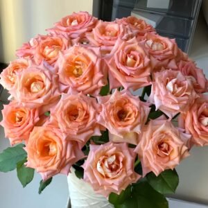 Autumn Twilight Rose丨Wholesale Rose Farms