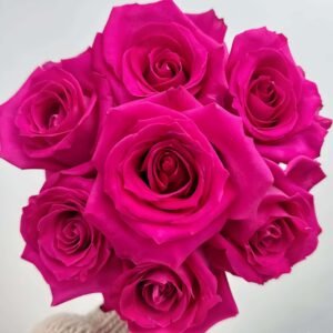 Topaz Rose丨Wholesale Rose Farms